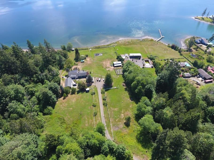 Oceanfront Studio/Loft: Alpacas, Oysters & Kayaks Shelton Eksteriør bilde