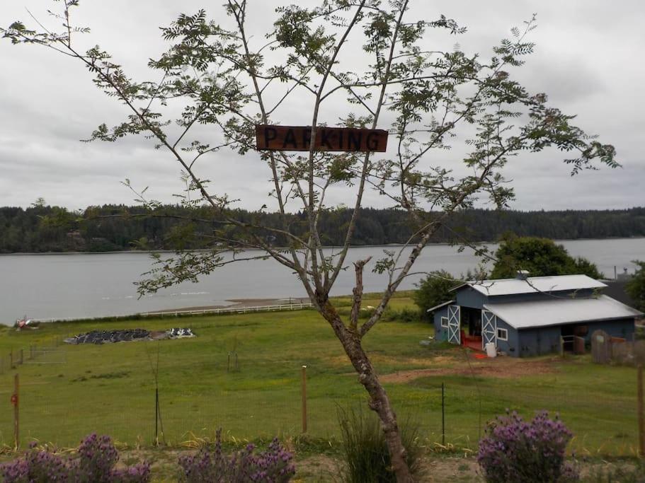 Oceanfront Studio/Loft: Alpacas, Oysters & Kayaks Shelton Eksteriør bilde