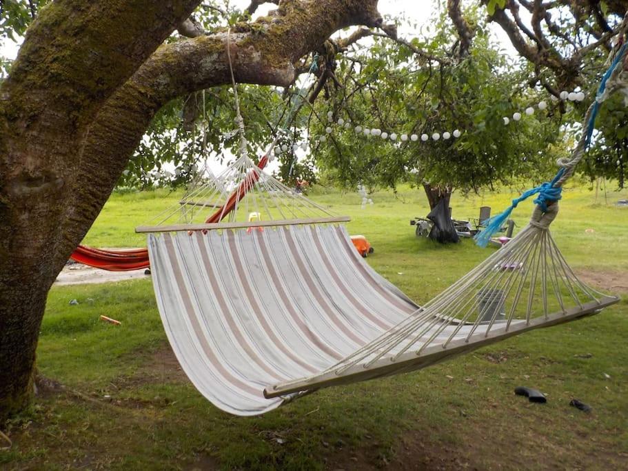 Oceanfront Studio/Loft: Alpacas, Oysters & Kayaks Shelton Eksteriør bilde