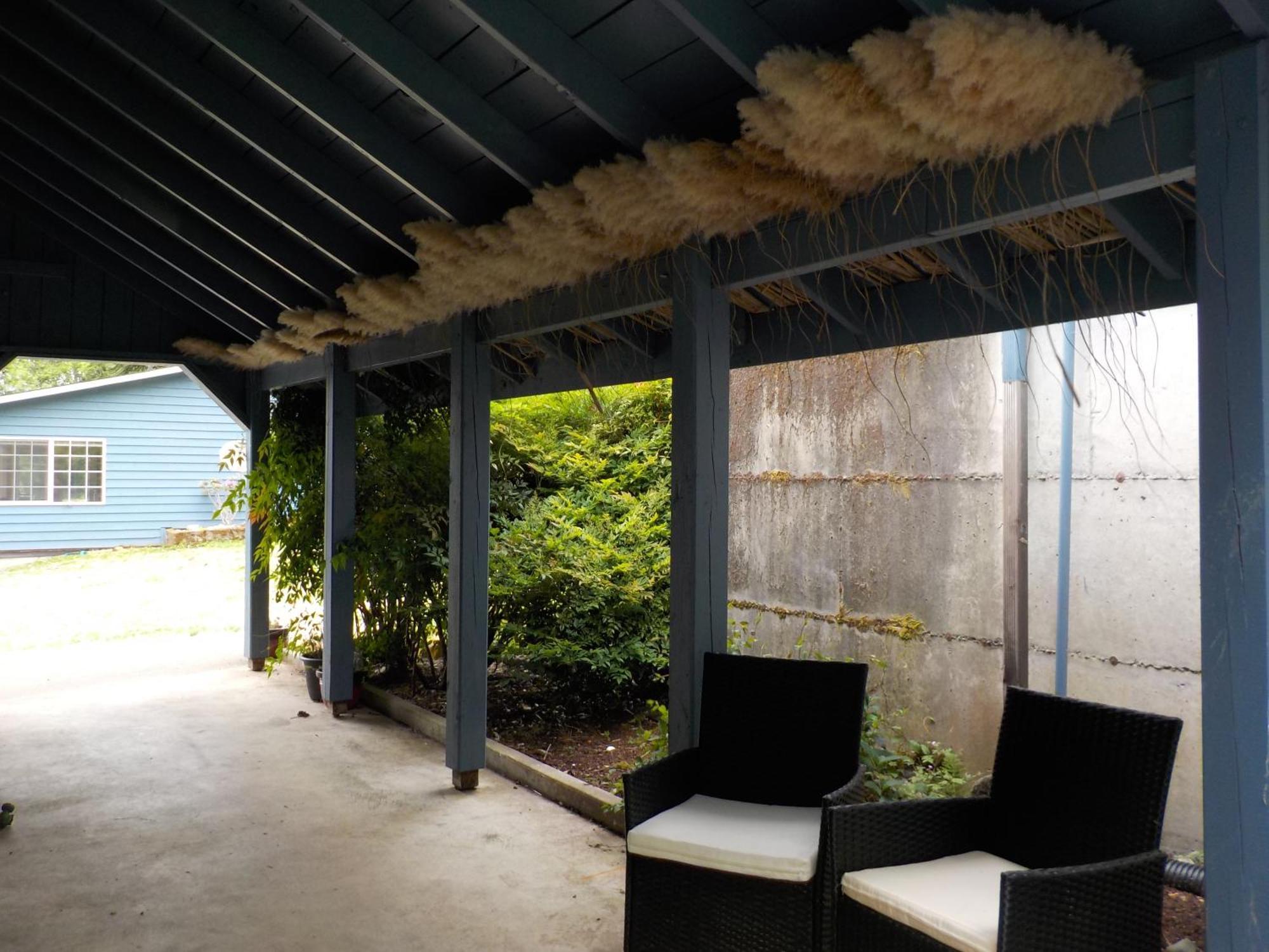 Oceanfront Studio/Loft: Alpacas, Oysters & Kayaks Shelton Eksteriør bilde