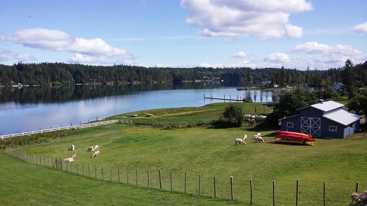 Oceanfront Studio/Loft: Alpacas, Oysters & Kayaks Shelton Eksteriør bilde